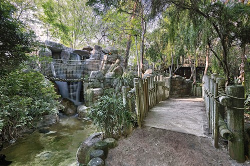 Rainforest Exhibit